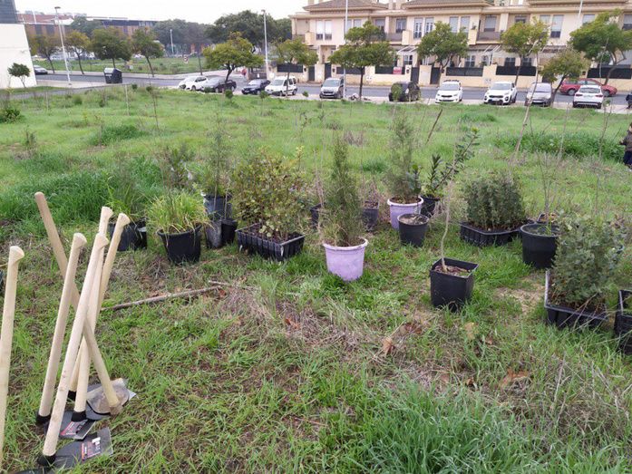 Nuevas generaciones por una ciudad más verde