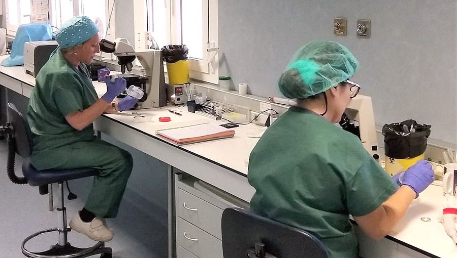 Varias personas a estudio por posible coronavirus en dos de los hospitales de Huelva