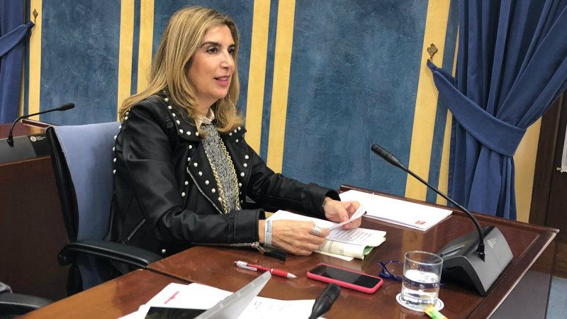 Tres meses de impagos a las trabajadoras de la limpieza del Laboratorio de Sanidad Animal de Aracena