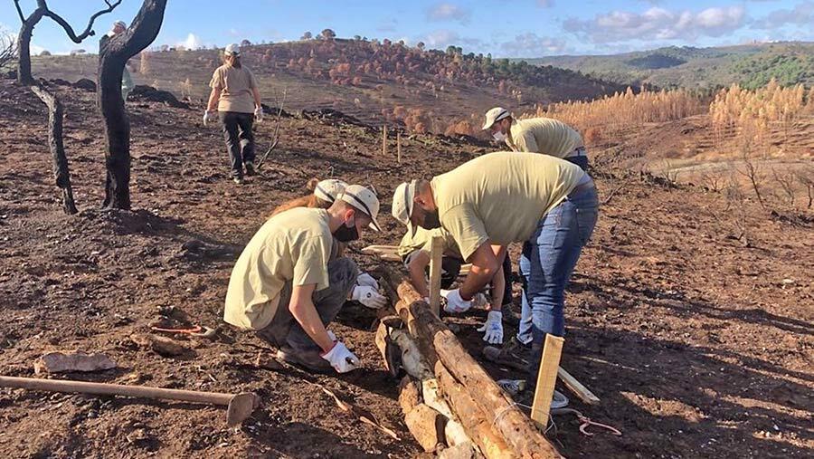 Los trabajos de emergencia tras el incendio de Almonaster van 'muy avanzados'