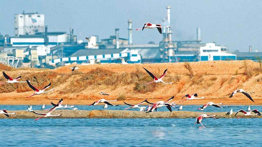 Atlantic Copper construirá una planta de reciclaje de productos electrónicos que dará 70 empleos directos