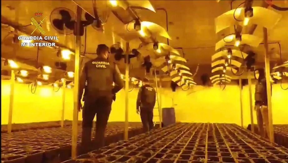 Detienen a 13 personas de una organización criminal que traficaba con marihuana en Ayamonte, Villablanca y Lepe