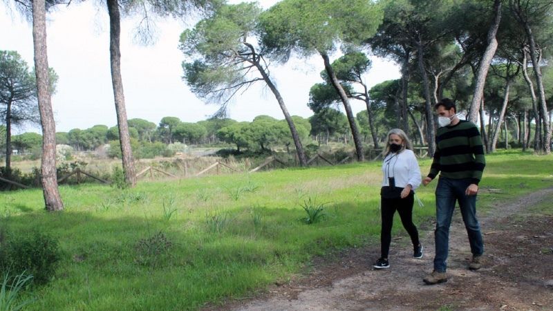Tecnología y nuevas rutas para disfrutar de los senderos del pinar de Cartaya