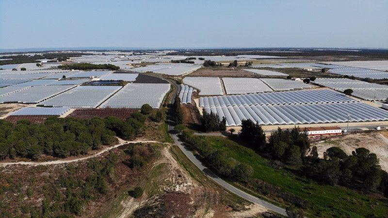 El Gobierno avisa de que Andalucía pagaría la posible sanción europea por los regadíos en Doñana