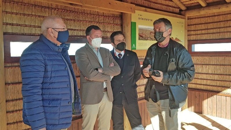 Marismas del Odiel alberga la mayor concentración de parejas de águila pescadora de la península Ibérica