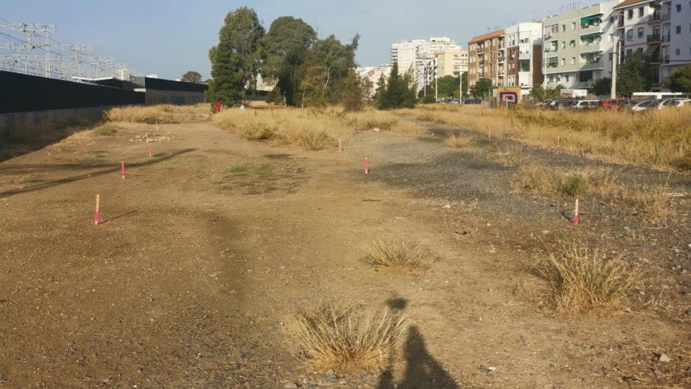 La empresa Palparking niega que haya eliminado un solo árbol en El Matadero y asegura que los vecinos están de acuerdo con el proyecto