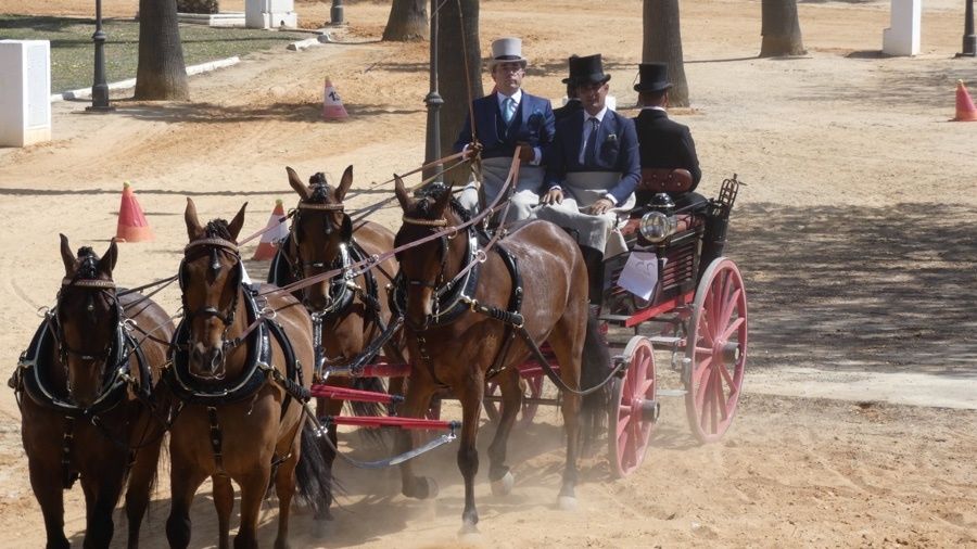 Almonte celebra con éxito su primer Concurso Internacional de Enganches de Tradición