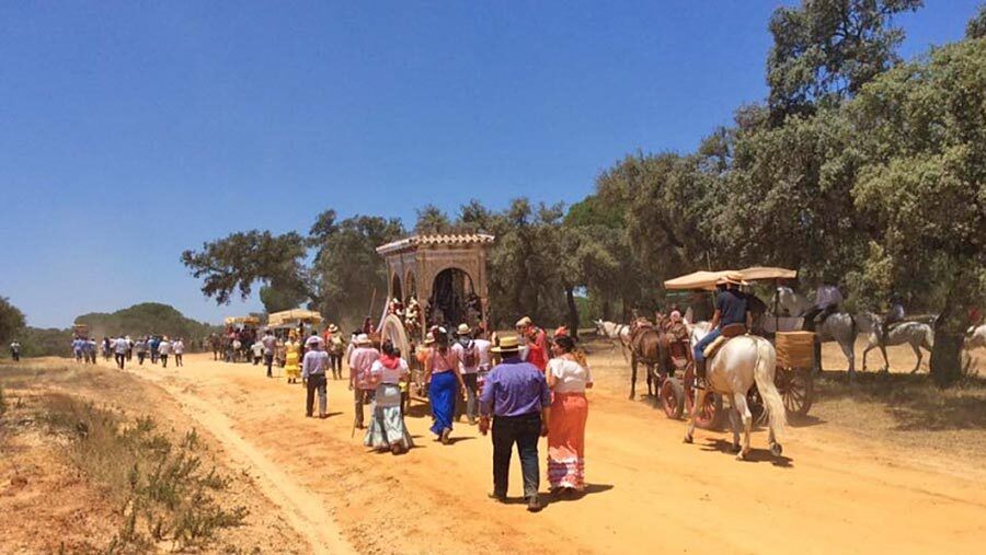Ecologistas alerta de las peregrinaciones por Doñana de este fin de semana y pide su cancelación
