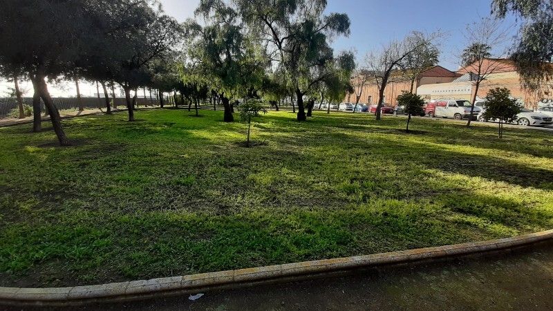 Mesa de la Ría propone recuperar el parque del Matadero y trasladar las viviendas a espacios no arbolados