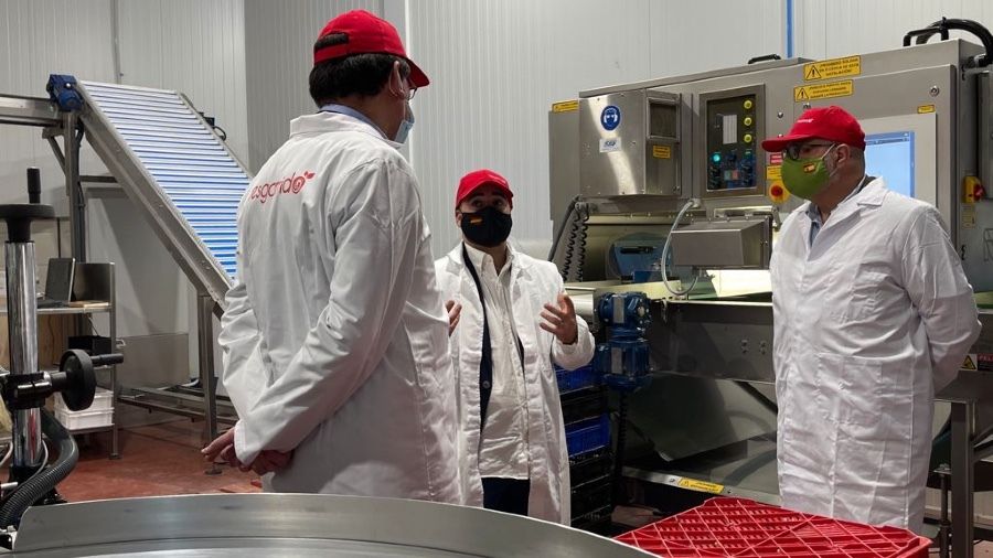 Vox insta a regular la situación agrícola para evitar la competencia desleal y la mano de obra extranjera