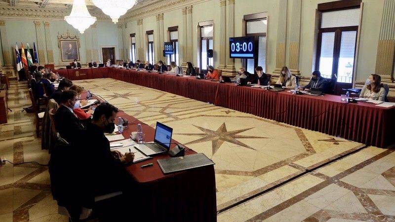 Luz verde oficial en pleno a restringir el tráfico en Isla Chica y el centro y a las nuevas peatonalizaciones