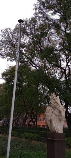Arrancan la bandera que presidía la Avenida de Andalucía