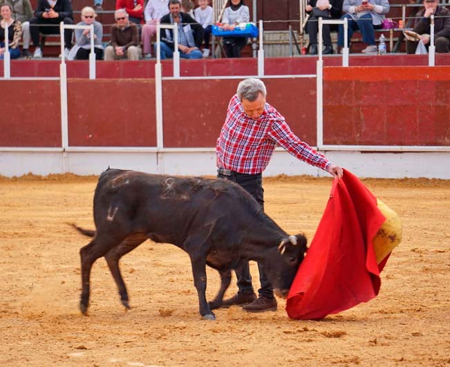 El runrún: AVE, ¿para qué si tengo el Falcon?