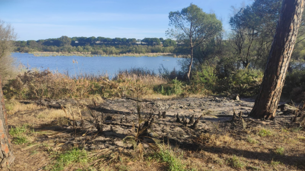 Denuncian el incendio y destrucción de un observatorio de aves en el Estero Domingo Rubio