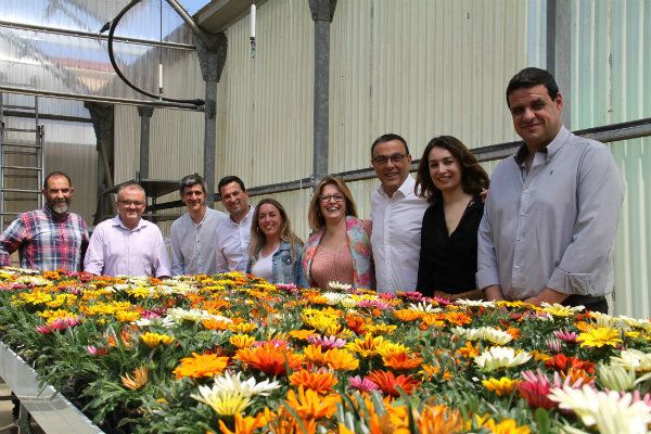 La Diputación le entrega a alcaldes y alcaldesas de ocho municipios serranos 2.600 plantas de temporada