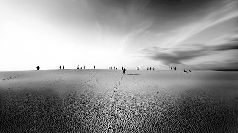 Doñana Natural Life reivindica en su última jornada la singularidad de la biodiversidad del Espacio Natural