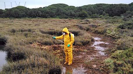Medio centenar de efectivos del Servicio de Control de Mosquitos comienzan a fumigar en 12 municipios