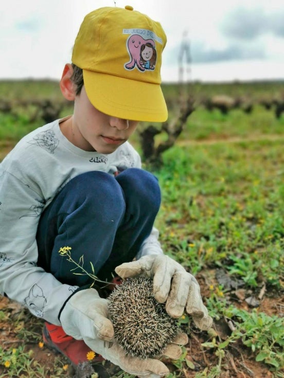 Lecciones de vida en el bosque de Doñana