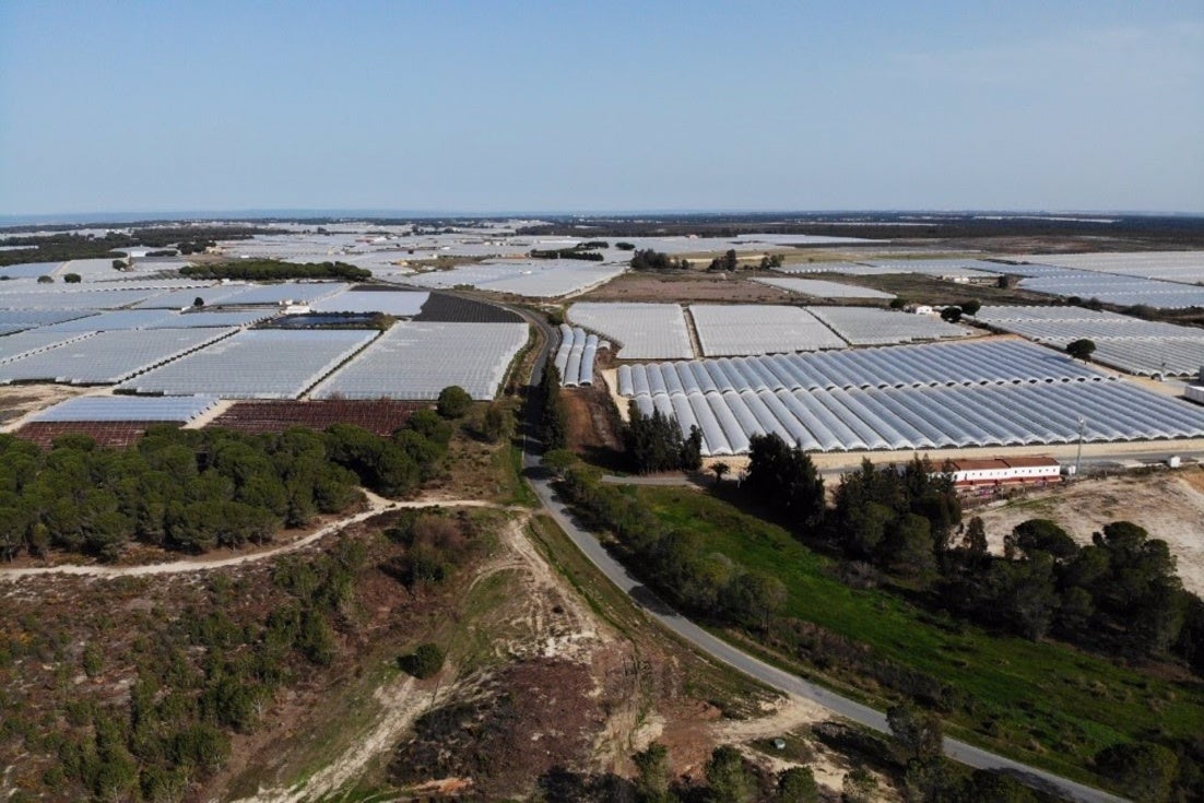 La Junta insistió al Gobierno en febrero para sentarse a abordar la situación de Doñana, y ahora lo hará en Bruselas