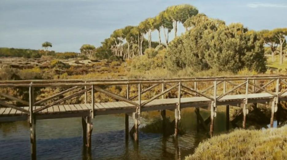La Fundación Caja Rural del Sur acoge la muestra 'La mar de olas' de María Luisa Sacristán