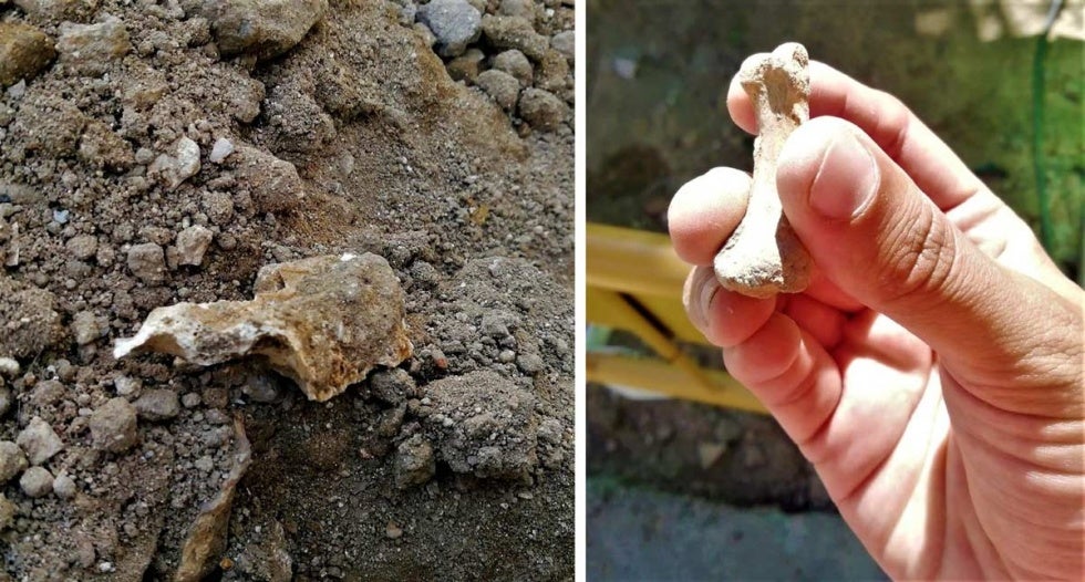 Denuncian la ocultación de tumbas halladas en obras del centro y El Torrejón