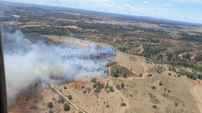Estabilizado un incendio forestal declarado en el paraje Dehesa Pan y Ajo de Beas
