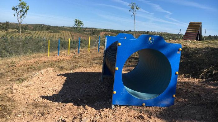 El Refugio Provincial de Valverde cuenta con un nuevo circuito de agility para promover el bienestar animal