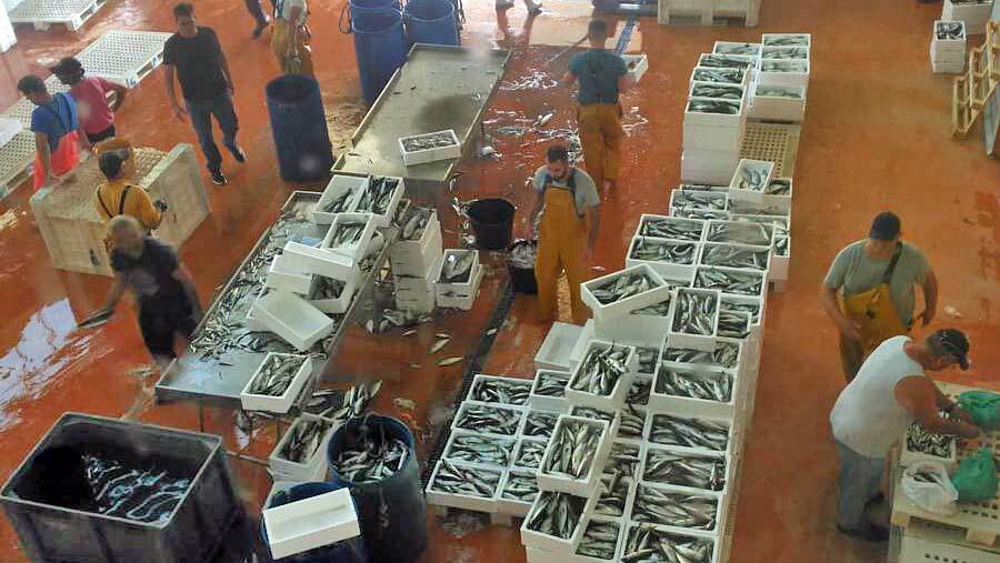 Pescadores de Punta Umbría reparten más de 1.200 kilos de pescado entre familias desfavorecidas
