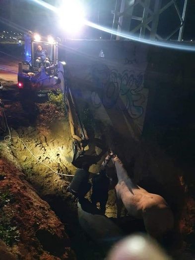 Rescatan a un jinete y a su caballo tras caer a una fosa de cinco metros de profundidad en Lepe