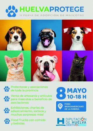 El Foro Iberoamericano acoge la Feria Provincial de adopción de animales ‘Huelva protege’