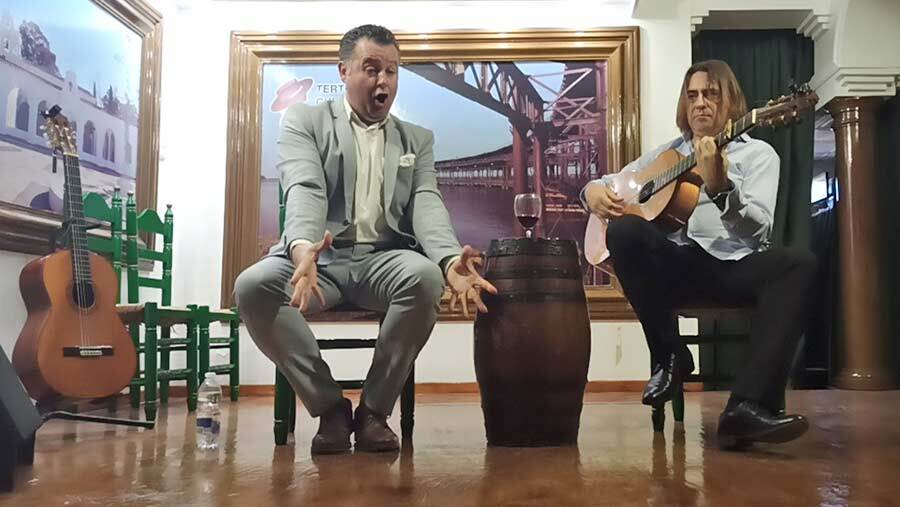 La temperatura subió 10 grados en la Tertulia Flamenca de las Colonias