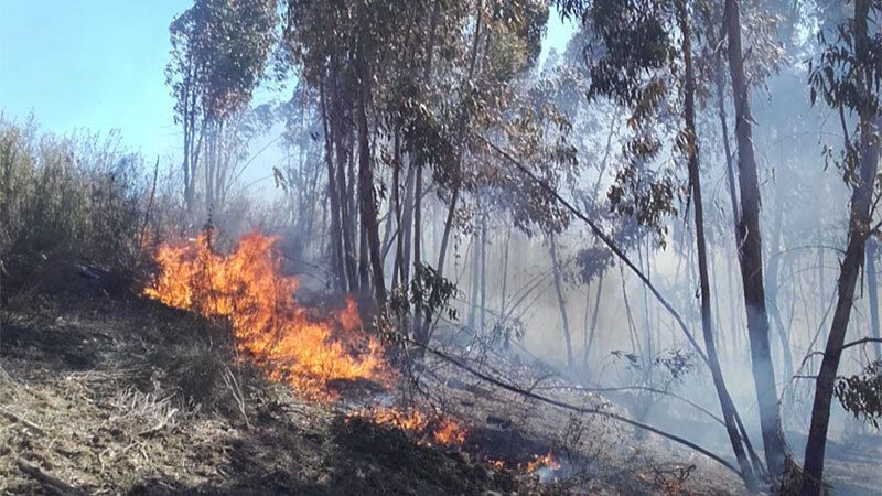 Setenta efectivos combatirán de noche el incendio en Beas tras la retirada de los medios aéreos