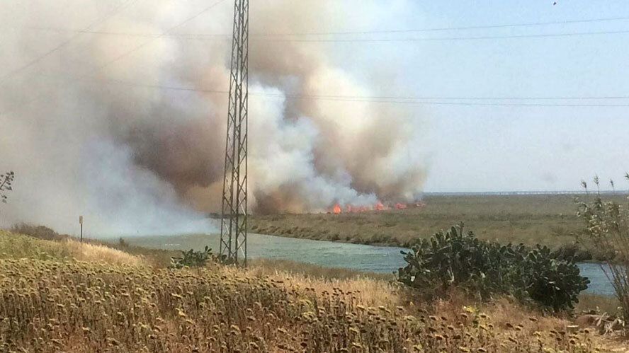 Extinguido el incendio del paraje El Burrillo