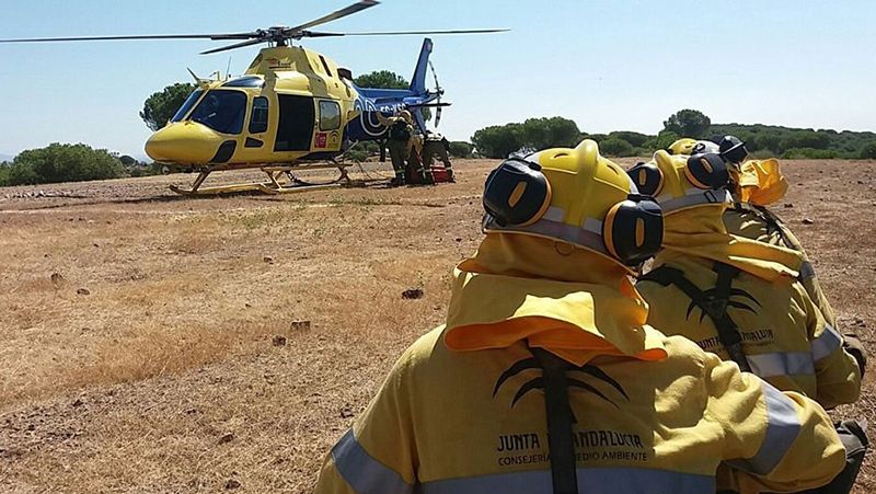 El incendio de este viernes en La Palma del Condado afectó a dos hectáreas de matorral