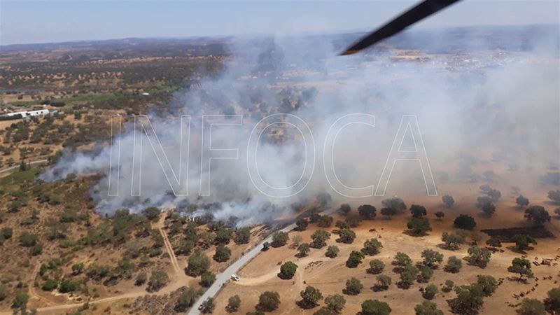 Extinguido el incendio forestal en un paraje de San Bartolomé de la Torre