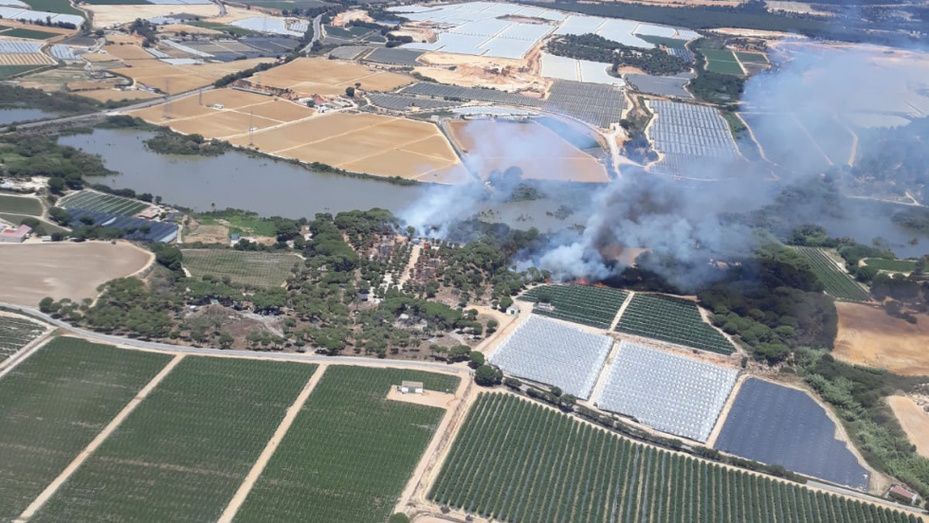 Declarado un incendio forestal en Palos