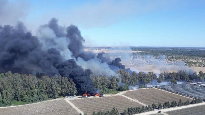 El Infoca trabaja en la extinción de un incendio forestal en el paraje Arroyo de la Cañada de Almonte