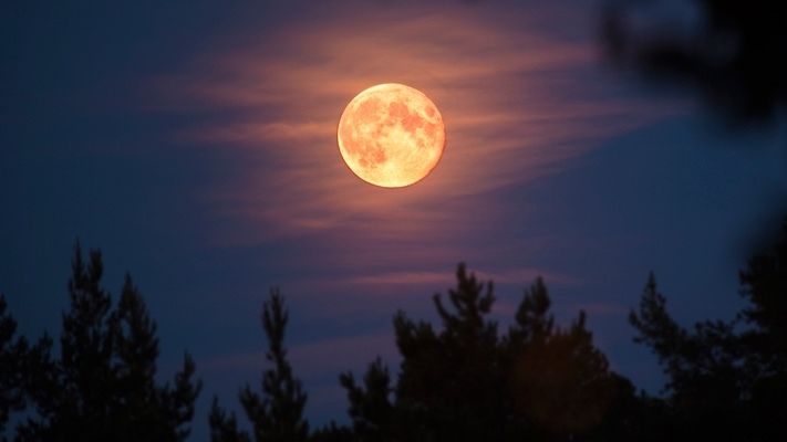 El runrún: La luna de fresa