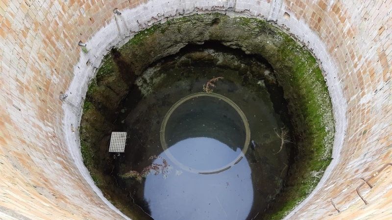 WWF pide a regantes y agricultores que 'alcen la voz' contra los que incumplen y 'roban agua' en Doñana