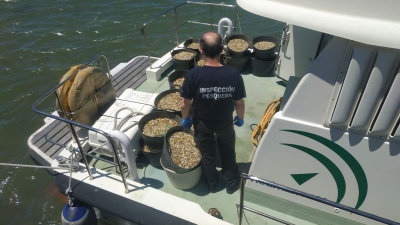 Intervienen 595 kilos de bivalvos con toxinas procedentes de Portugal