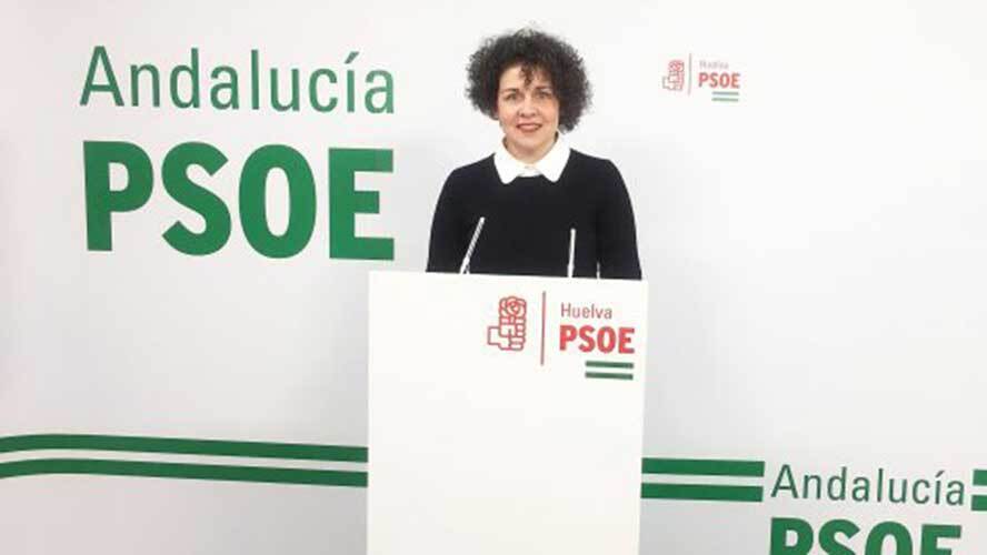 El PSOE acusa a la Junta de 'despreciar' a cientos de familias al 'desmantelar' las políticas de memoria