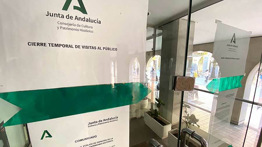 El runrún: Libros en cuarentena