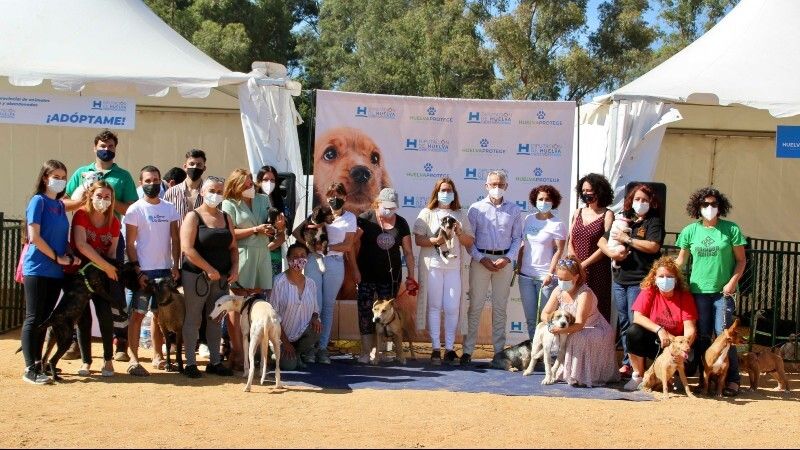 Gran acogida a la Feria de adopción de mascotas ‘Huelva Protege’ en el Foro Iberoamericano