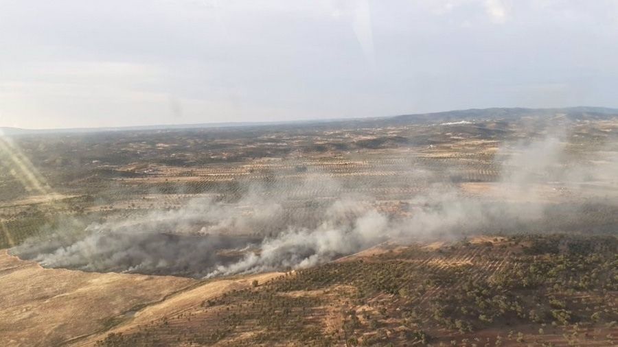 El incendio de Paymogo se salda con 15 hectáreas quemadas de pasto