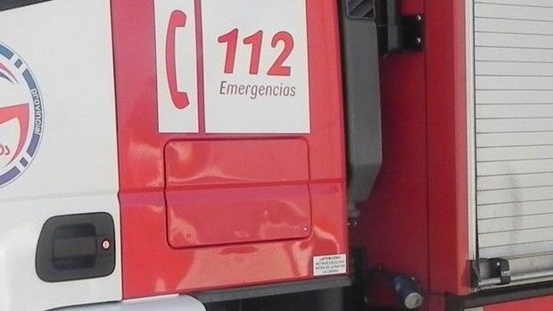 Un herido tras un atropello de un vehículo a un jabalí en Isla Cristina