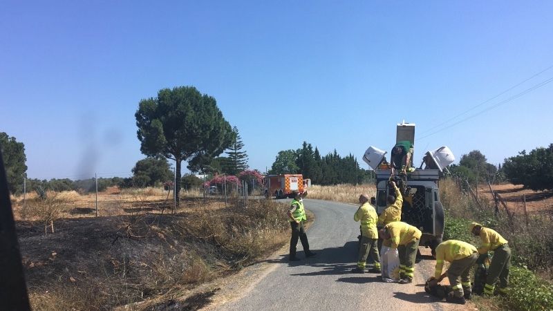 El Infoca extingue un incendio en Gibraleón y otro en Moguer