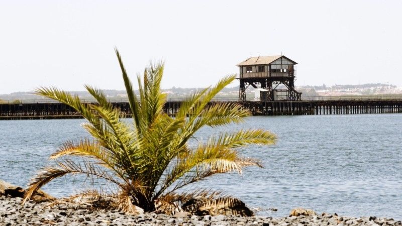 El Puerto saca a licitación las obras para rehabilitar el Muelle de Tharsis