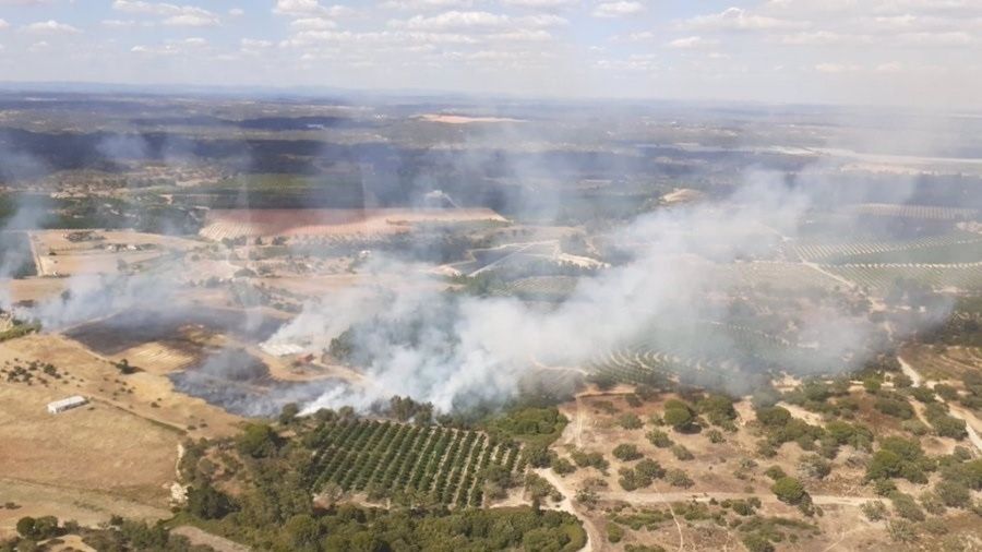 Extinguido el incendio forestal declarado en un paraje de San Bartolomé de la Torre