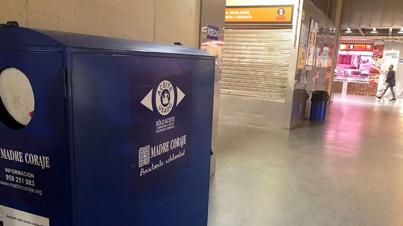 Junio, el mes del medio ambiente