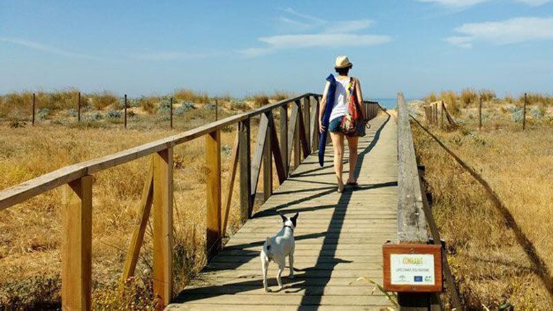 Proponen habilitar una zona apta para perros en la playa de Punta Umbría